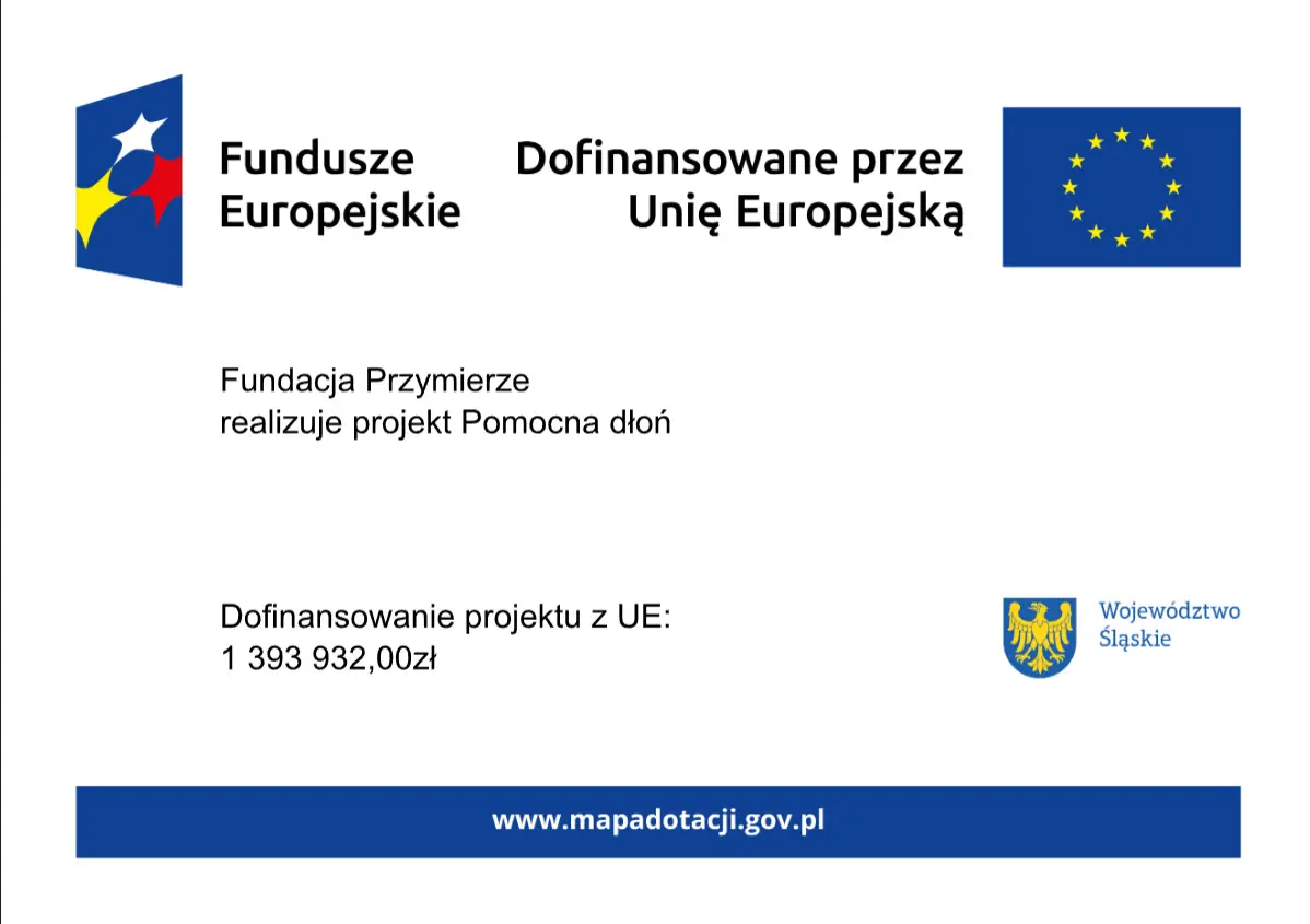 Plakat programu - Pomocna Dłoń